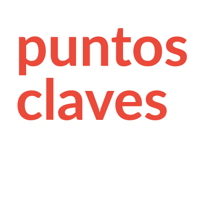 Puntos claves