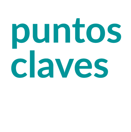 Puntos claves